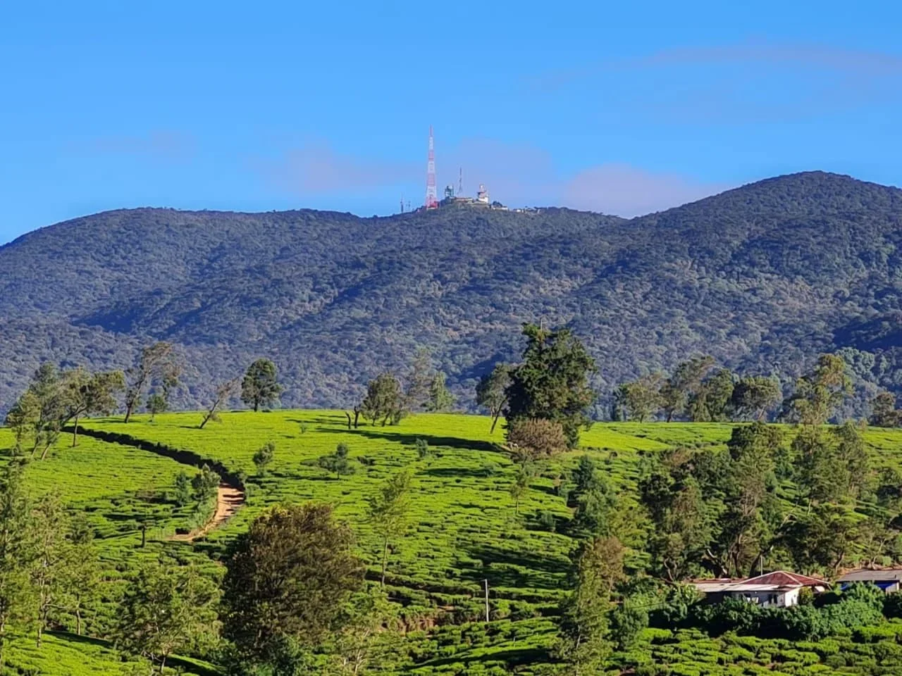 Moonstone Apartments Nuwaraeliya | Dayoutbook.lk